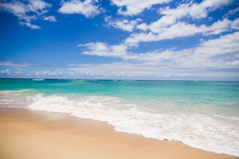 Background Beach Beautiful Beauty  - nutraveller / Pixabay