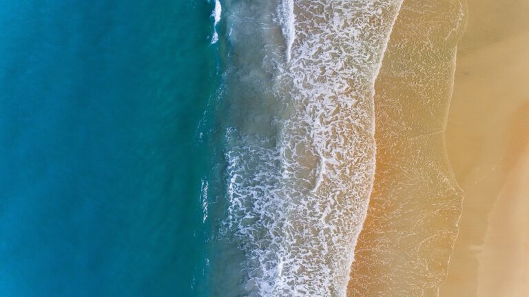Beach Coast Sea Sand Wave Ocean  - StockSnap / Pixabay