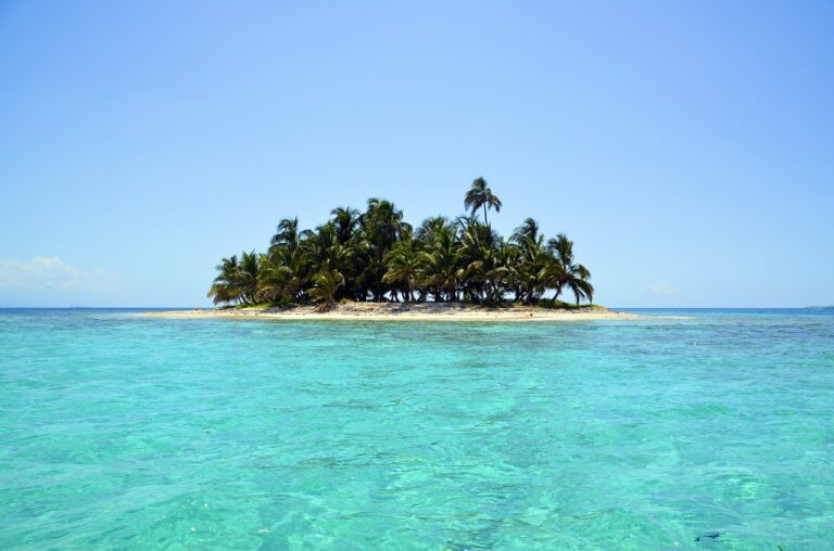 Island Tropical Beach Palm Trees  - Pexels / Pixabay