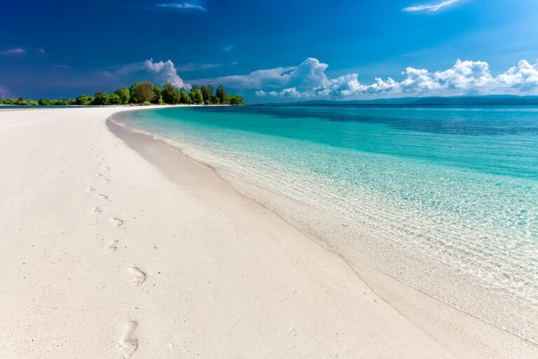 Beach Sea Footprints Sand  - Kanenori / Pixabay