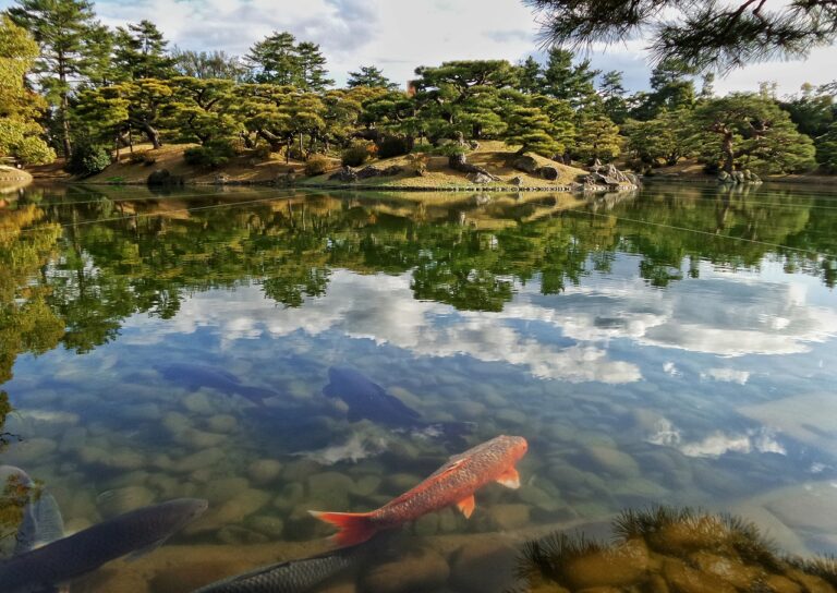 Japan Japanese Garden Pond Niwa  - FranckinJapan / Pixabay