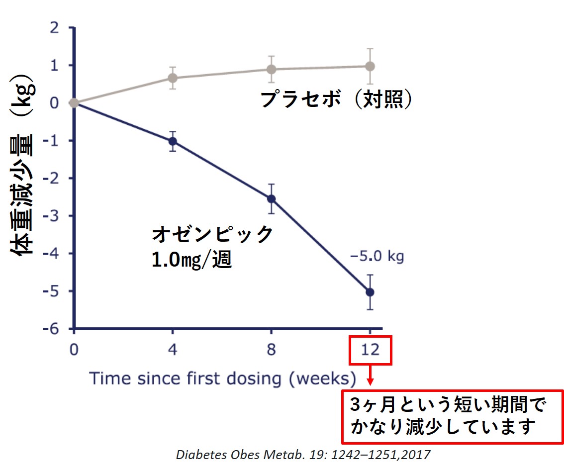 オゼンピック セマグルチド注射薬 の食欲に対する効果について ただし痩せ薬ではありません Mossanの糖尿病ガジガジ日記