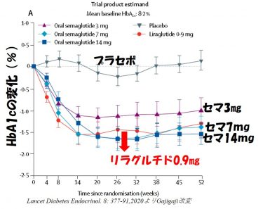 リベルサス、注目の経口セマグルチドの強さを知る◇糖尿病薬との比較試験　総まとめ