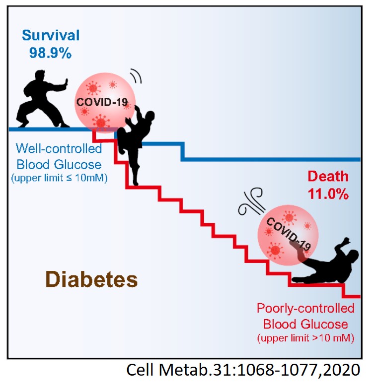 糖尿病と新型コロナウィルス感染症について 感染リスクや重症化リスクは本当に上がるのか Mossanの糖尿病ガジガジ日記