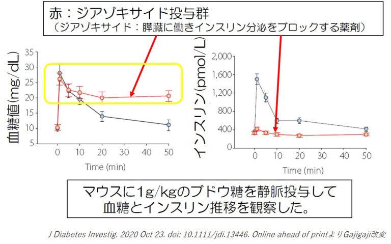 Glucose Effectiveness 血糖が血糖を下げる Mossanの糖尿病ガジガジ日記