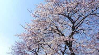 スタチン服用による筋症状とノセボ効果について