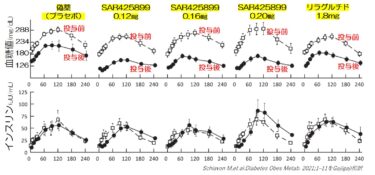 GLP-1/グルカゴン共受容体作動薬の血糖低下効果について～リラグルチドとの比較試験～