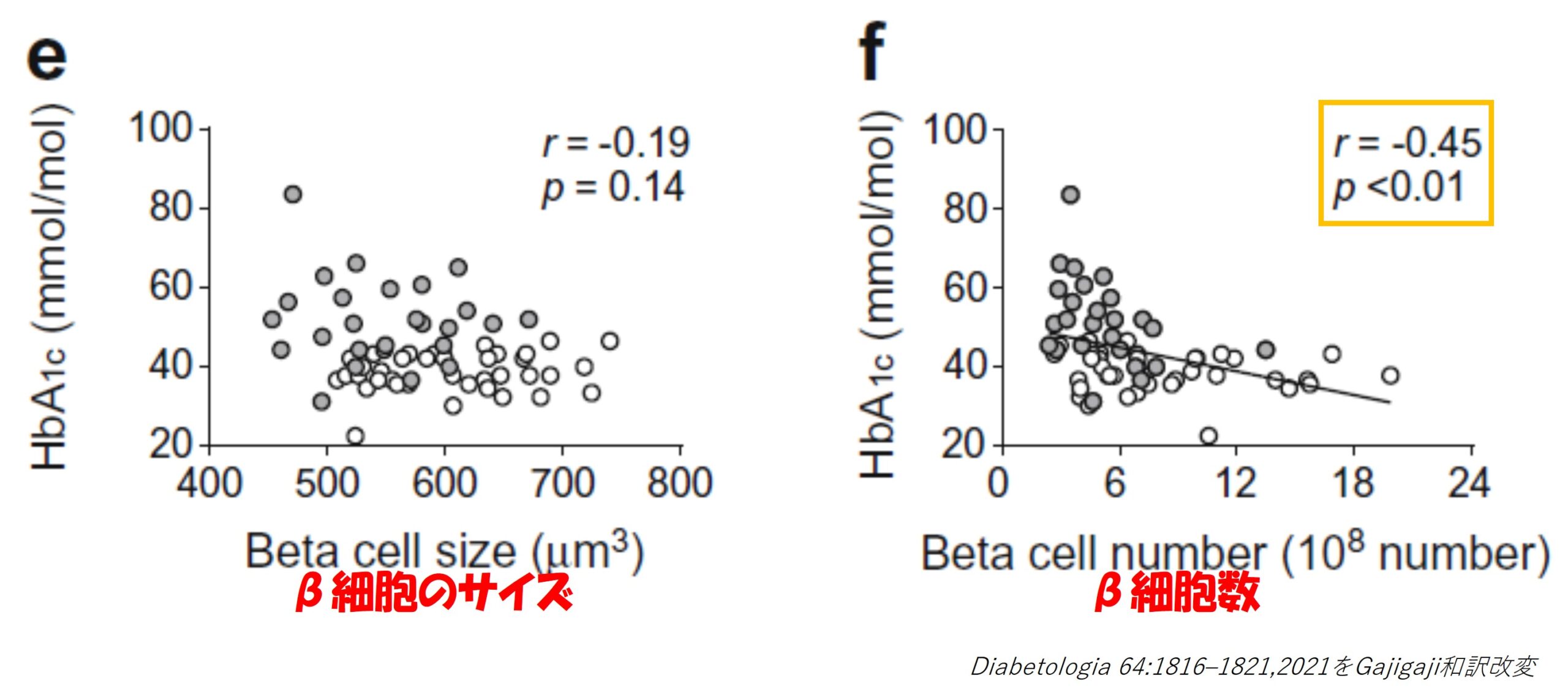 2型糖尿病では膵b細胞数の減少がb細胞量や血糖コントロールに強く影響する Mossanの糖尿病ガジガジ日記
