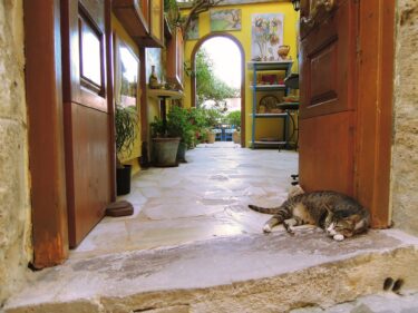 fQRSで糖尿病患者さんの心機能障害（拡張障害）を予測できる？